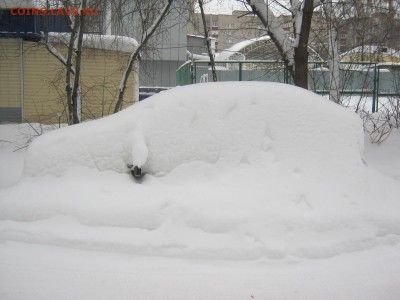 ФОТО - просто фото. Те что получились удачными. - IMG_4360[1].JPG