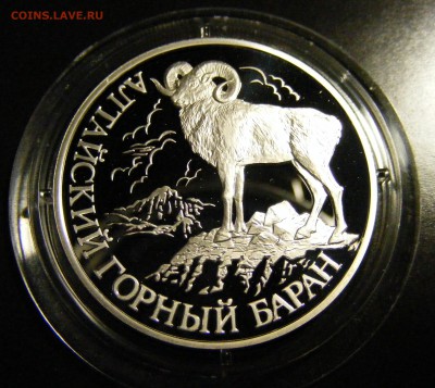 1 рубль Алтайский горный баран до 22.01.2017 - 5.JPG