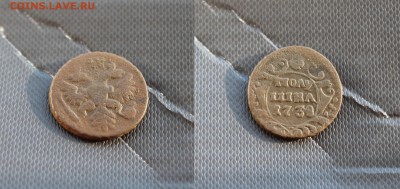 Полушки Анны Иоановны 8шт погодовка  19.01 - 1738