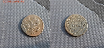 Полушки Анны Иоановны 8шт погодовка  19.01 - 1731