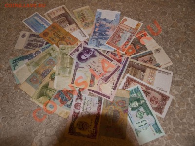 23 бонки, многие неходячие до 31.03.11 - P3281857.JPG