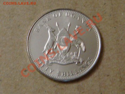 -v- Уганда 50 шиллингов 2007 Антилопа до 31.03(21.00) - DSC01416.JPG