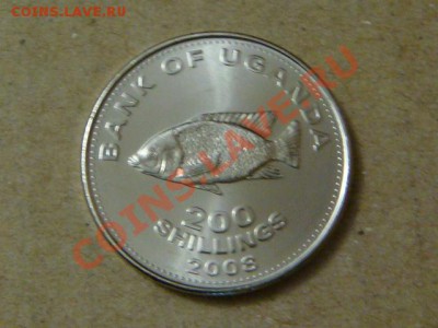 -v- Уганда 200 шиллингов 2008 Рыба до 31.03(21.00) - DSC01417.JPG