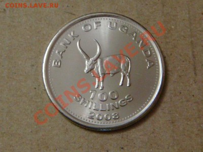 -v- Уганда 100 шиллингов 2008 Буйвол до 31.03(21.00) - DSC01419.JPG