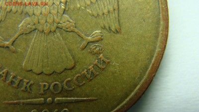 Вопросы по разновиднстям от сахарок - DSC02555.JPG