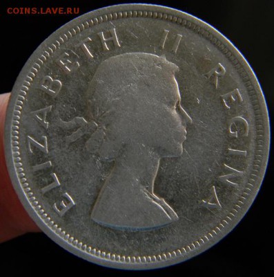 2 шиллинга ЮАР 1955 - DSCN3440.JPG