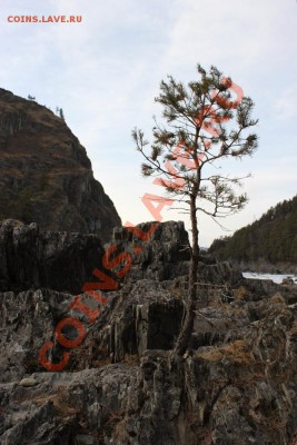 ФОТО - просто фото. Те что получились удачными. - foto 189
