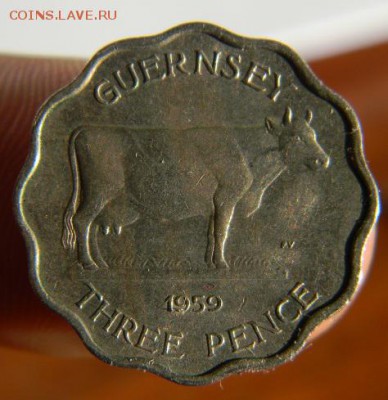 3 пенса гернси 1959 - DSCN3394.JPG