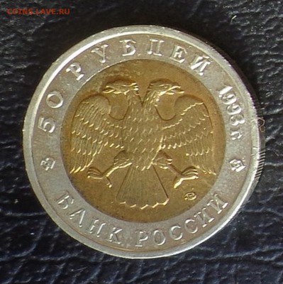 КК_50 РУБЛЕЙ 1993_МЕДВЕДЬ_23.01. 22-30 - 93-медведь-4