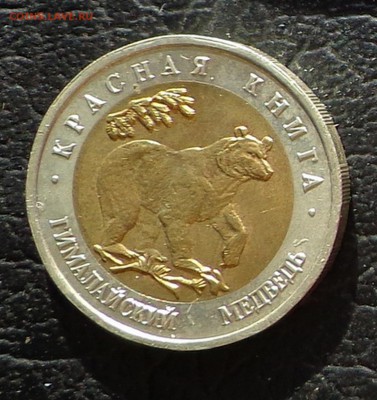 КК_50 РУБЛЕЙ 1993_МЕДВЕДЬ_23.01. 22-30 - 93-медведь-1