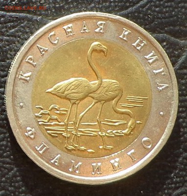 КК_50 РУБЛЕЙ 1994_ФЛАМИНГО_23.01. 22-30 - 94-фламинго-1