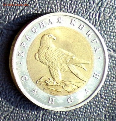 КК_50 РУБЛЕЙ 1994_САПСАН_23.01. 22-30 - 94-сапсан-2