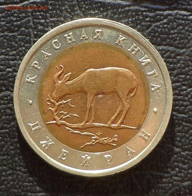 КК_50 РУБЛЕЙ 1994_ДЖЕЙРАН_23.01. 22-30 - 94-джейран-1