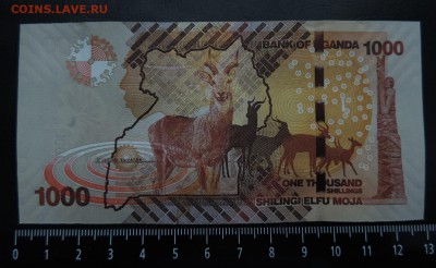 УГАНДА 1000 шиллингов 2017г., ДО 22.01. - 1000 шиллингов 2017г., В..JPG