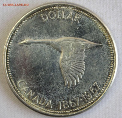С 1 РУБ. КАНАДА 1 доллар 1967г. ГУСЬ. 100-летие до 24.1 - IMG_0570