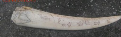 Клык моржа расписной Чукотка - _20180119_200948.JPG
