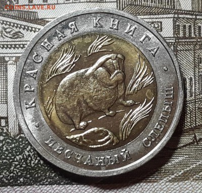 КК 50 руб. 1994 г. "Слепыш ",  до 25.01.18 г. 22:00 (мск) - 20180119_194021