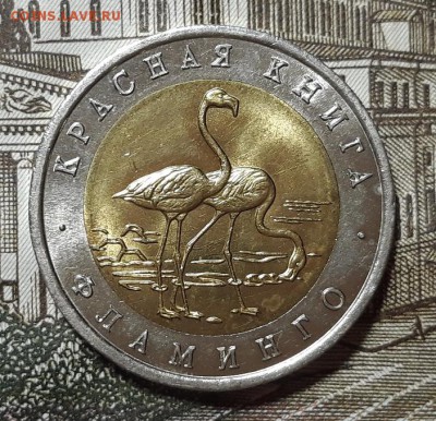 КК 50 руб. 1994 г Фламинго+альбом  до 25.01.18 г. 22:00(мск) - 20180119_194138