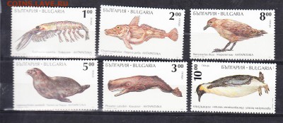 Болгария 1995 фауна - 117