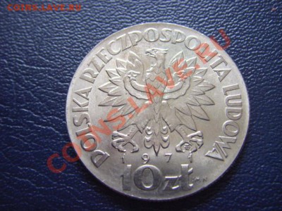Польша 10 злот. 1971 Проба ФАО Мать и Дитя до 31.03 в 21.00М - LPIC9197.JPG