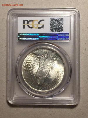 США Мирный доллар 1923 PCGS MS64 до 28.01.18 - 1923_2