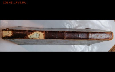 Ежемесячный иллюстрированный журнал. Природа и охота 1887 г. - Коллажи3 (2)