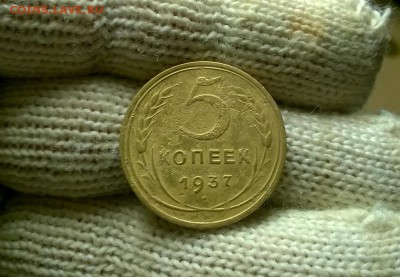 5 копеек 1937 года до 26.01 - WP_20180122_19_22_57_Pro