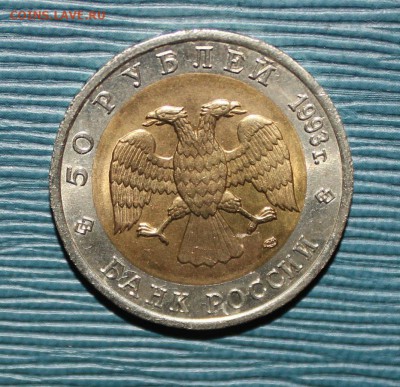 с 200р КК 93г Медведь до 25.01 22:00 Короткий! - IMG_8177.JPG
