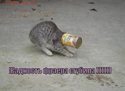 б на определение подлинности - 1464675898_4
