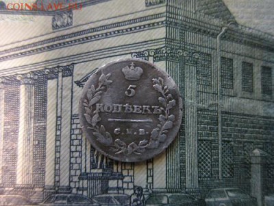 5 копеек 1813г. спб П.С. до 26.01.18г. 22:00 по Москве. - 5 копеек ав