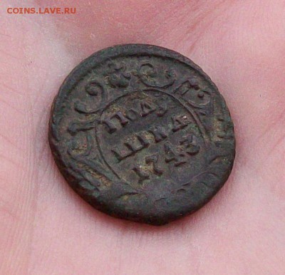 Полушка 1743 года. Биткин R до 29.01 в 22.00 мск - 100_1092.JPG