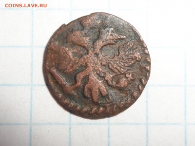 монета Петра 1. Полушка.медь. - SAM_0506.JPG
