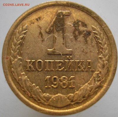 1копейка 1981 года - P1010330в1