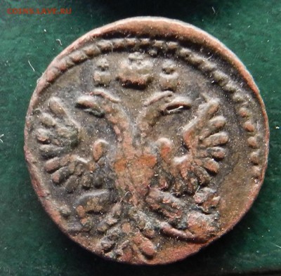полушка 1735 (в слове Полушка буквы П и Ш без гаст ) - DSCN7781