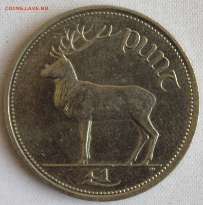 С РУБ. ИРЛАНДИЯ 1 фунт 1999г. ОЛЕНЬ  до 1.02 в 22-00 - IMG_0730