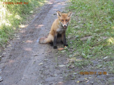ФОТО - просто фото. Те что получились удачными. - IMG_1193_1483x1112