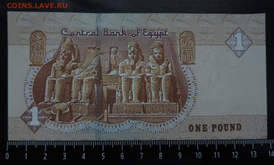 ЕГИПЕТ 1 фунт 2016г., ДО 31.01. - 1 фунт 2016г., В..JPG