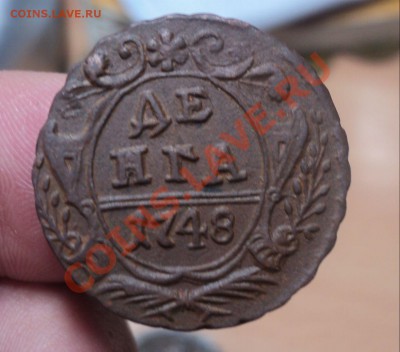 Денга 1731,1748 до 3.4.11 22.00 МСК - DSC03881.JPG