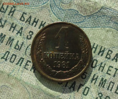 1 копейка 1981 года. Штемпельный блеск. До 31.01.18. - DSC02938.JPG