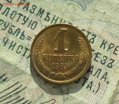 1 копейка 1983 года. Штемпельный блеск. До 31.01.18. - DSC02947.JPG