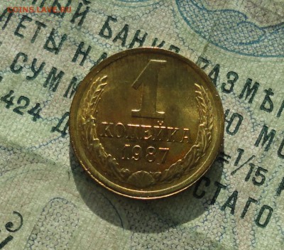 1 копейка 1987 года. Штемпельный блеск. До 31.01.18. - DSC02950.JPG