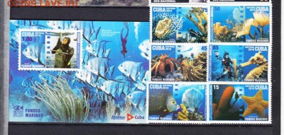 Куба 2010 фауна моря - 14б