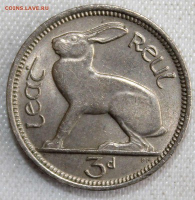 С 1 РУБ. ИРЛАНДИЯ 3 пенса 1968г. ЗАЯЦ до 4.02 в 22-00 - IMG_0724