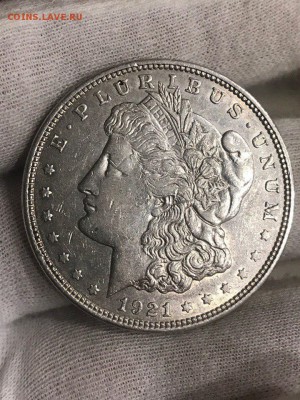 США Морган доллар 1921 D. ПРЕДПРОДАЖНАЯ. - vNN4STHHgsc