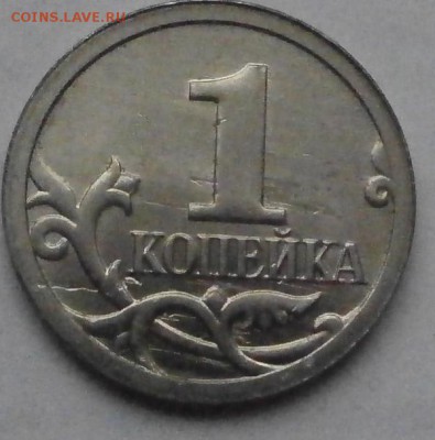 Браки на 1 копейке - P1171330.JPG