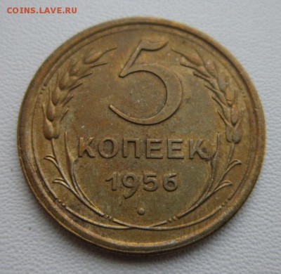 5 копеек 1956г              04,02,2018 22,00 по Москве - IMG_5175.JPG