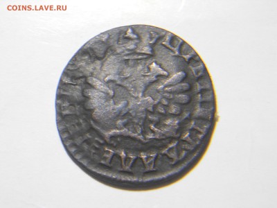 полушка 1707 года. - DSCN1506.JPG