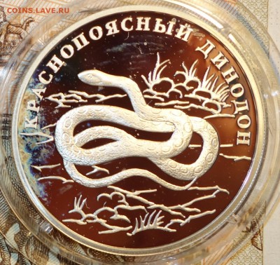 1 руб Краснопоясный динодон 2007г 05.02.18 в 22-00 - DSC03779.JPG