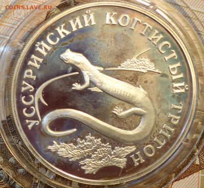 1 руб Уссурийский когтистый тритон 2006г 05.02.18 в 22-00 - DSC03777.JPG