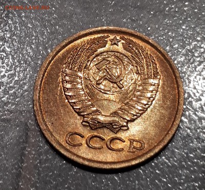 1 копейка 1980 шт. 2 длинные ости - без ости (1)